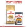 Купить Siamese Adult - сухой корм для кошек породы сиамская (от 12 месяцев)