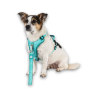 Кипити Smart ID Sport Harness Matrix 2.0 Turquoise Шлея для собак
