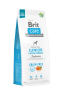 Кипити Dog Grain-free Junior Large Breed Сухий беззерновий корм з лососем для молодих собак великих порід