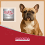 Купить Migliorcane UNICO Влажный корм для собак средних и крупных пород, паштет из прошутто