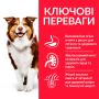 Купить SP Canine Mature Adult 7+ Medium Breed Lamb & Rice Сухой корм с ягненком и рисом для пожилых собак средних пород от 7 лет