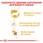 Купить Maltese Adult - сухой корм для взрослых собак породы мальтийская болонка (от 10 месяцев)