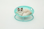 Купить Pet bed round mint Складной лежак для домашних животных