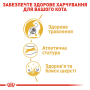 Купить Bengal Adult - сухой корм для котов породы бенгальская (от 12 месяцев)
