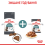 Кипити Hairball Care - сухий корм для профілактики утворення грудочок шерсті у травному тракті у котів (від 12 місяців)