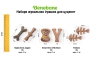 Купить Maplestick/Zaggler Bacon 2-Pack Tiny Puppy Набор из двух жевательных игрушек для щенков