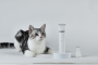 Купить Pet Trimmer Pro 2 in 1 Машинка для стрижки животных