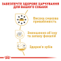 Кипити Chihuahua Adult - сухий корм для дорослих собак породи Чихуахуа (від 8 місяців)