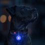 Купить WAUDOG LED Фонарик для собак и кошек в светящемся силиконовом чехле USB
