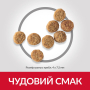Кипити SP Canine Adult Light Small & Mini Chicken Сухий корм з куркою для малоактивних дорослих собак дрібних і мініатюрних порід