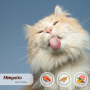 Кипити Miogatto Sensitive Monoprotein Сухий корм для котів, з лососем