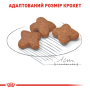 Кипити Mini Adult 8+ - сухий корм для зрілих собак малих порід (від 8 років)