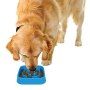 Кипити Slow Maze Feeder Silicone 4 cup Миска квадратна для повільного годування 0,96 л, блакитна