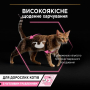 Кипити Delicate Паштет з індичкою для котів з чутливим травленням