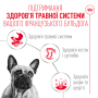 Купить French Bulldog Adult Влажный корм для взрослых собак породы Французский бульдог