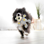 Купить Wild Knots Bears Игрушка для собак, Медвежонок