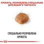Кипити Chihuahua Adult - сухий корм для дорослих собак породи Чихуахуа (від 8 місяців)