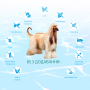 Купить Beauty Podium Shiny Coat & Dental Care - сухой корм с морепродуктами для ухода за шерстью и зубами у взрослых собак