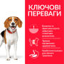 Кипити SP Canine Adult Medium Breed Perfect Weight Сухий корм з куркою для контроля ваги у дорослих собак середніх порід