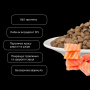 Купить Cat All Life Stages Healthy Skin and Coat Salmon Entrees Гипоаллергенный сухой корм с лососем для поддержания здоровья кожи и шерсти у кошек