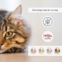 Купить Migliorgatto Sterilized Беззерновые консервы для стерилизованных кошек мусс с кроликом