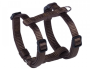 Купить Classic Preno Mini H-shaped Harness Шлейка для щенков и маленьких собак, коричневая