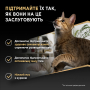 Купить Delicate Набор муссов с курицей для стерилизованных кошек