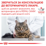 Кипити Sensitivity Control - дієтичний вологий раціон для котів при небажаній реакції на корм (харчова алергія)