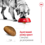 Купить Maxi Adult 5+ полнорационный сбалансированный сухой корм для взрослых собак крупных размеров в возрасте от 5 до 8 лет
