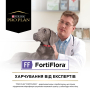 Купить FortiFlora Canine Probiotic Пробиотик для здорового пищеварения и укрепления иммунитета у взрослых собак и щенков