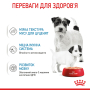Кипити Starter Mother & Babydog Mousse - вологий корм у вигляді мусу для вагітних собак та цуценят (до 2 місяців)