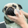 Кипити buldog wipes Серветки для гігієни складочок бульдога