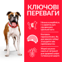 Купить SP Canine Adult Medium Breed Light Сухой корм с курицей для малоактивных взрослых собак средних пород