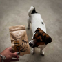Купить Dog Treats 100 % Banana Натуральное лакомство для собак с бананом