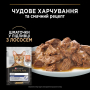 Купить Adult Indoor with Salmon in gravy Кусочки с лососем для домашних взрослых кошек
