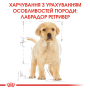 Кипити Labrador Retriever Puppy - сухий корм для цуценят породи Лабрадор-ретривер (від 2 до 15 місяців)