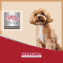 Кипити Migliorcane UNICO Сухий корм для собак малих порід з прошуто