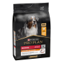 Купить Dog Adult Medium Everyday Nutrion Сухой корм с курицей для взрослых собак средних пород