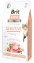Кипити Sensitive Healthy Digestion & Delicate Taste Fresh Turkey & Salmon - беззерновий сухий корм для котів із чутливим травленням