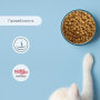 Кипити Migliorgatto Sterilized Сухий корм для стерилізованих котів з куркою