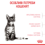 Кипити Kitten Sterilised - сухий корм для стерилізованих кошенят (від 6 до 12 місяців)