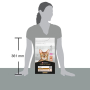 Купить Cat Adult Derma Care Salmon Сухой корм для взрослых кошек для поддержания здоровья кожи и красоты шерсти, с лососем