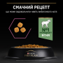 Кипити Cat Adult Delicate Digestion Lamb Сухий корм для дорослих котів з чутливим травленням та вибагливих до їжі з ягням