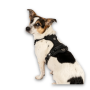 Кипити Smart ID Sport Harness Matrix 2.0 Black Шлея для собак