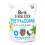 Купить Dental Stick Teeth&Gums - лакомство для собак здоровые десны и зубы, ромашка и шалфей