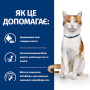 Купить PD Feline ON-Care Диетический сухой корм с курицей для взрослых кошек, страдающих тяжелыми заболеваниями