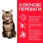 Кипити SP Feline Mature Adult 7+ Hairball Indoor Сухий корм з куркою для зменшення утворення грудочок шерсті у шлунково-кишковому тракті зрілих домашніх котів від 7 років