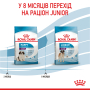 Купить Giant Puppy - сухой корм для щенков гигантских пород (от 2 до 8 месяцев)