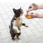 Кипити Refillables Catnip Tube Змінні блоки котячої м'яти