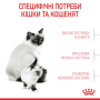 Купить Mother & Babycat - сухой корм для кошек в период беременности и лактации, для котят (от 1 до 4 месяцев)